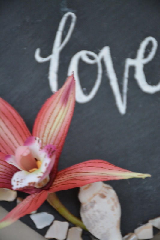 DIY Seashell Love Wall Hanging - Living Porpoisefully