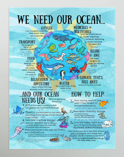 importance of oceans